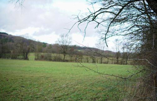 Kelbergerly Hills - Photo 28