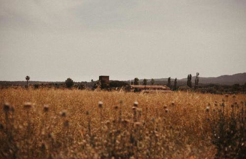 Mas Valoria - Foto 42