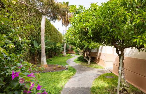 Live Garachico Humbolt - Foto 18