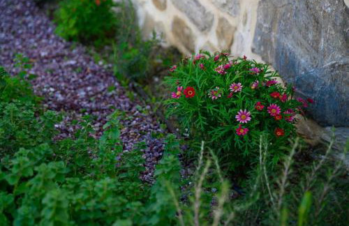 Physis Country House Near Matala Beach & Faistos - Foto 38