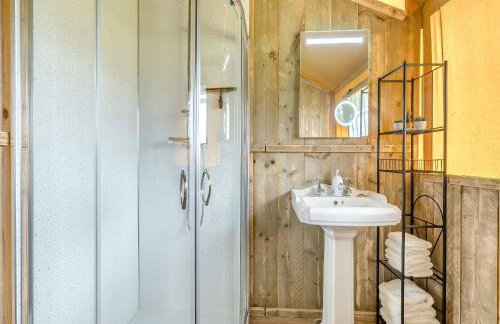 Muntjac - Uk47396 - Foto 16