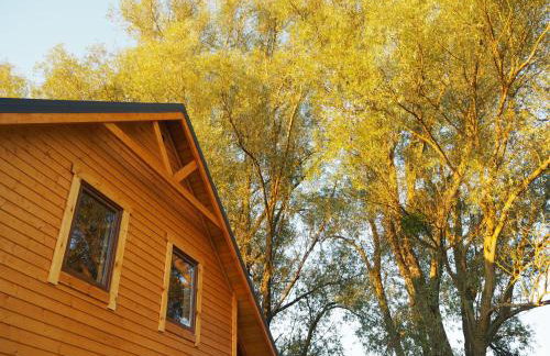 Beniaskie! Lake Lodge in West Masuria - Foto 42