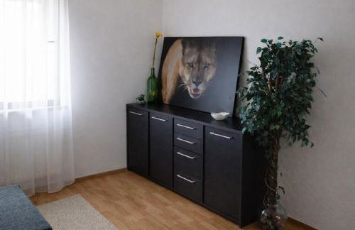 3 Floor XXL House, 7 Rooms, 2 Kitchen, 15 Minutes to Frankfurt, Washing Machine - Foto 73