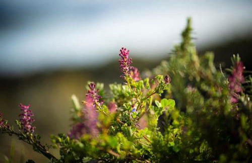 Brand New! Feronia, where Nature feeds your soul. - Foto 13