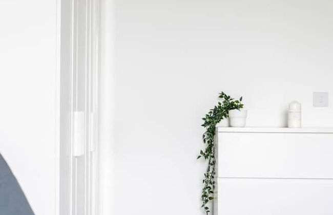 Livestay - One Bed Apt, Free Parking, Sleeps 4 - Foto 3