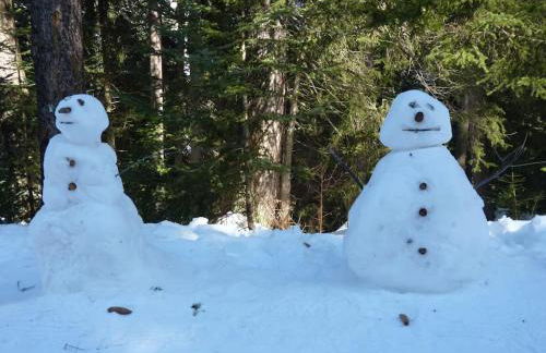Les 3 marmottes duplex proche de la station Les Karellis - Foto 19