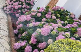 Precioso apartamento con piscina Urbanización Playazul - Photo 13