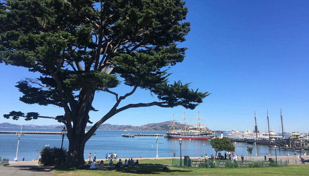 Visite des points de vue et des collines de San Francisco - Photo 3