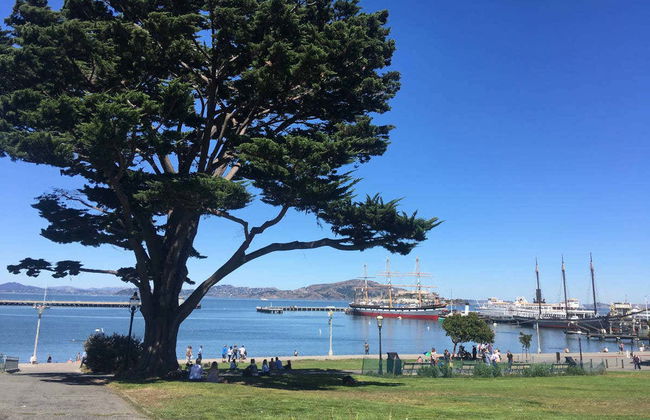 Visite des points de vue et des collines de San Francisco - Photo 3