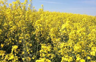 Appartmentanlage Zur Düne - Foto 65