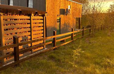 Powidoki Mazury - Foto 36