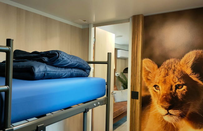 2 bedroom House in Kaatsheuvel with swimming pool and terrace - Photo 7