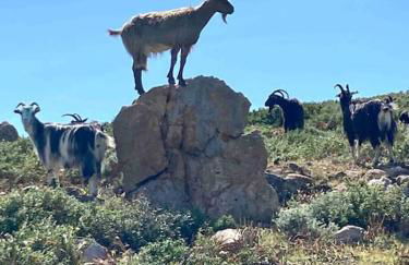 Vignarella meublé de tourisme classé 5 étoiles avec terrasse - Foto 62