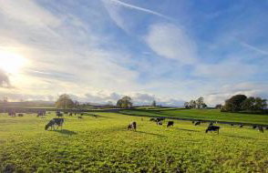 Grange Cottage - Photo 6