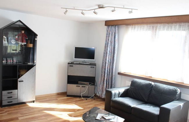 Silberdistel - Foto 10