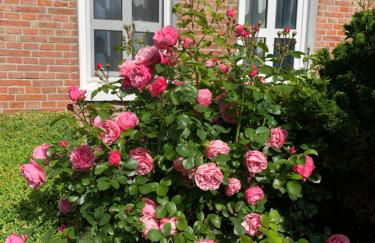 Ferienhaus Johanna Hooksiel - Foto 22