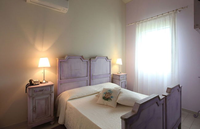 Lucciole nella nebbia - Foto 4