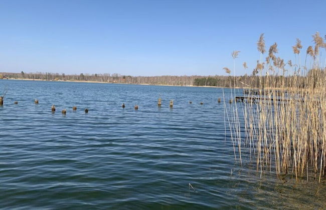 Holiday Home Seehutte - Foto 13