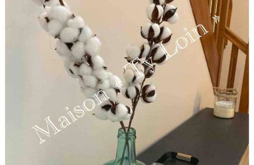 Villa Ty Loin vue mer 8 personnes - Foto 27