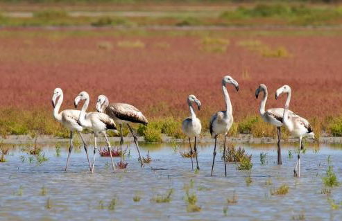 Le gite de lOlivier en Provence - Foto 36