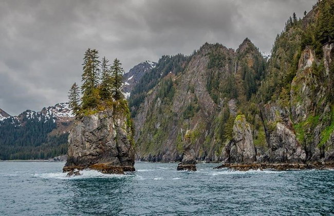 Captain's Choice National Park Tour - Foto 7