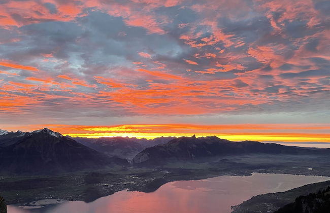 Haus der Schwalbe - Foto 41