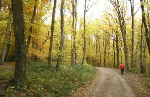 Holiday Apartment Anita Wald - Foto 35