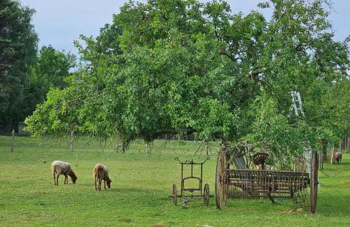 Gartenglück, entspannt wohnen am Obstwanderweg - Foto 42