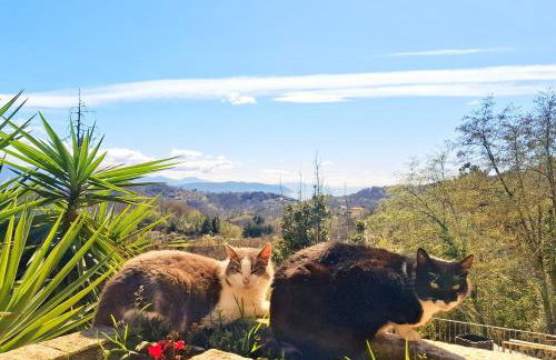 Da Nonna Maria - Photo 25