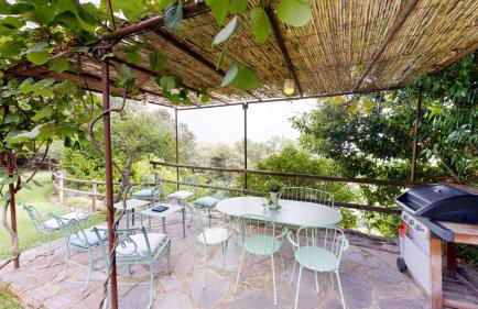 Abejas 2 de El Vergel de Chilla - Photo 3