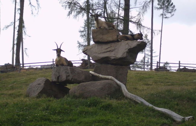 Akelei Comfortable Holiday Residence - Foto 21