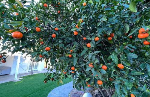 Modern 4 King Beds, Beautiful Large Backyard, Golf, WFH, Long Stays, WI-FI, FWY, 25 mins to Beach - Photo 52