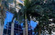 Hotel Diamond Rede Mont Blanc - Foto 2