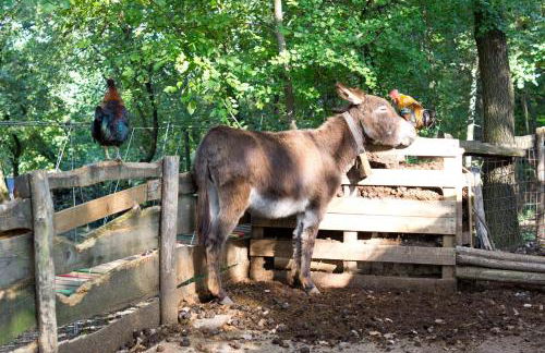 Colleincanto Appartamento Torretta - Foto 26