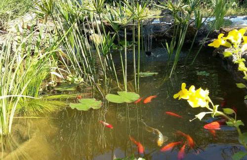 Le Temps Des Cerises. - Foto 17