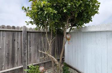 ZenDen Rv by The Sea in Los Osos - Foto 39