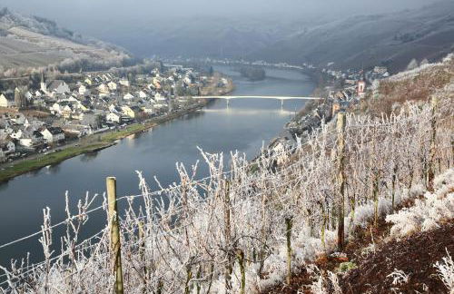 Ferienwohnung Ankerplatz - Foto 28