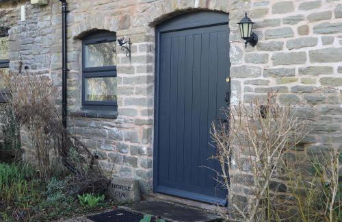 Horse Gin - Photo 21