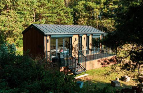 Otulina Błonie - Foto 2