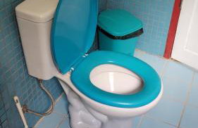 Lar do tio Roco em paraty - Foto 54