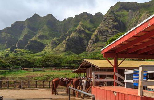 The Three Tables Remote Retreat - Foto 28