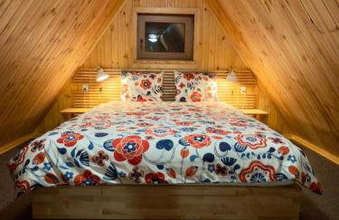 Pod Srebrzystym Świerkiem - Jacuzzi - Foto 21