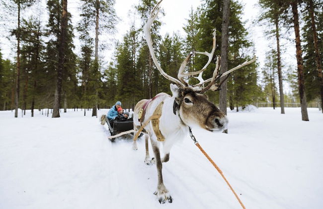 Levi Suites Unna Mànnu - Photo 44