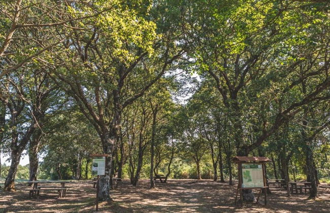 Spacious House in Pienza - Foto 50