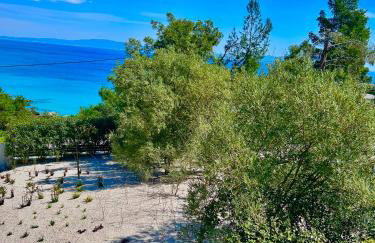 Dilean luxury villa - Photo 40