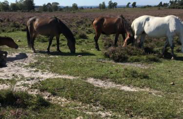 Little Banks Barn - Foto 21