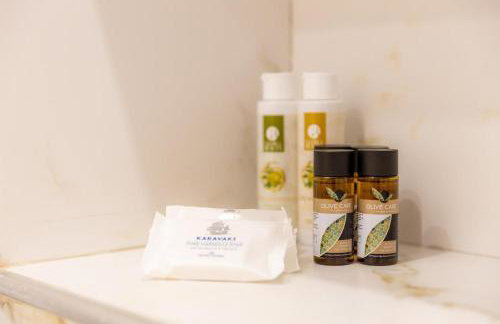 Zelis In Pelion Greece - Foto 36