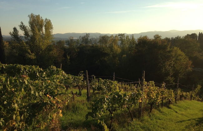 Podere San Lorenzo - Foto 59