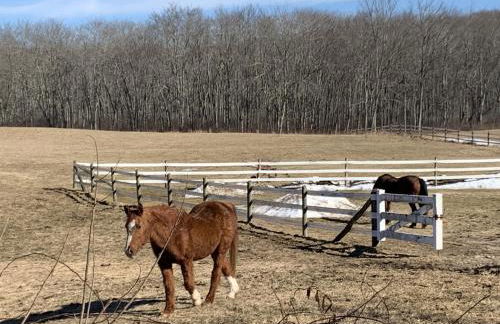 Cozy Bungalow Just Minutes from Mystic, Westerly Beaches, Boating and Casinos! bungalow - Foto 42