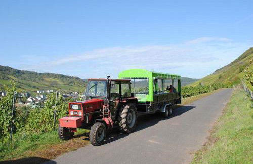 Haus Ambiente - Foto 24